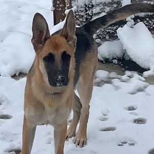 Meet your Posher, Blake